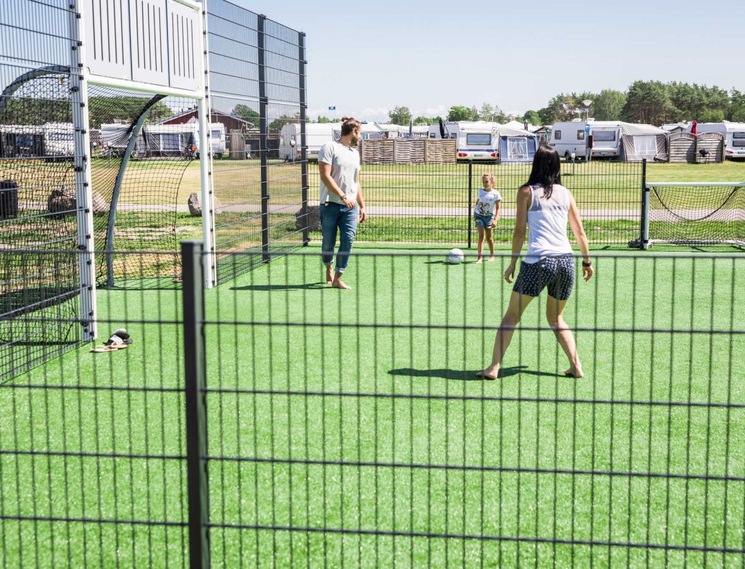 Multi-sport arena